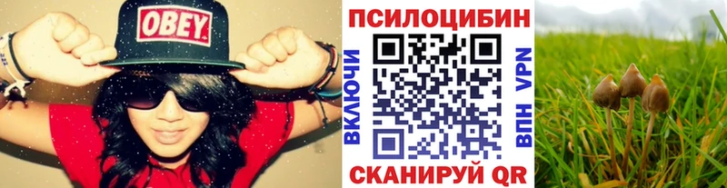 Галлюциногенные грибы Magic Shrooms  купить  цена  Фурманов 